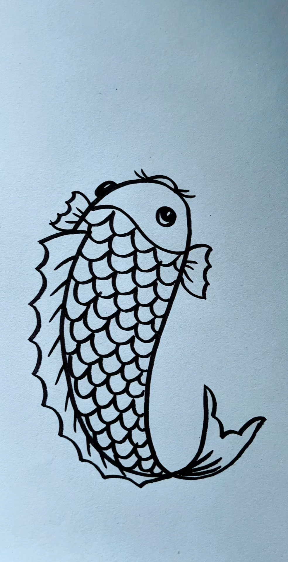 鲤鱼这样画,一看就会