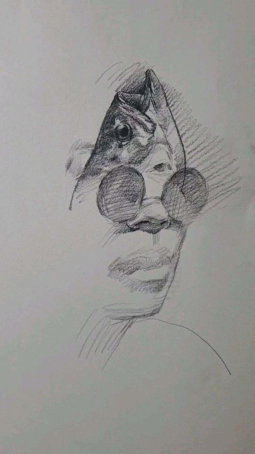 汪老师速写鱼头,潇洒画起来!