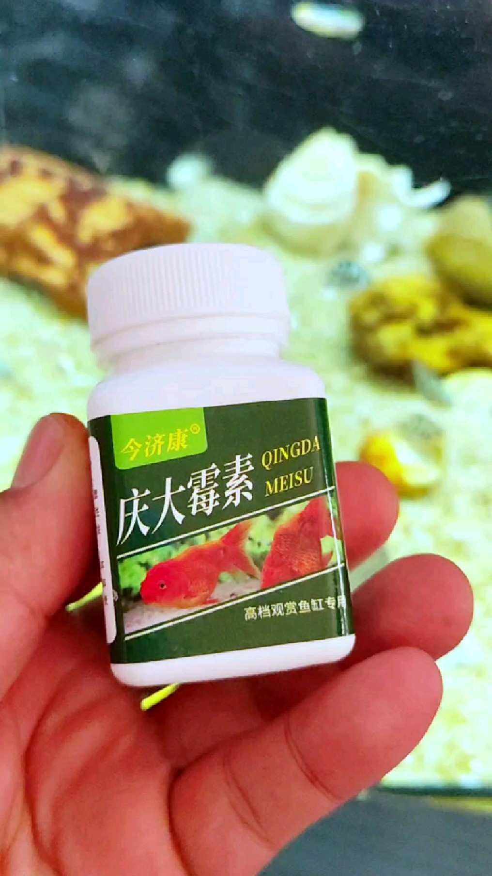 养鱼人必备庆大霉素,防治一体,让养鱼变得更快乐!