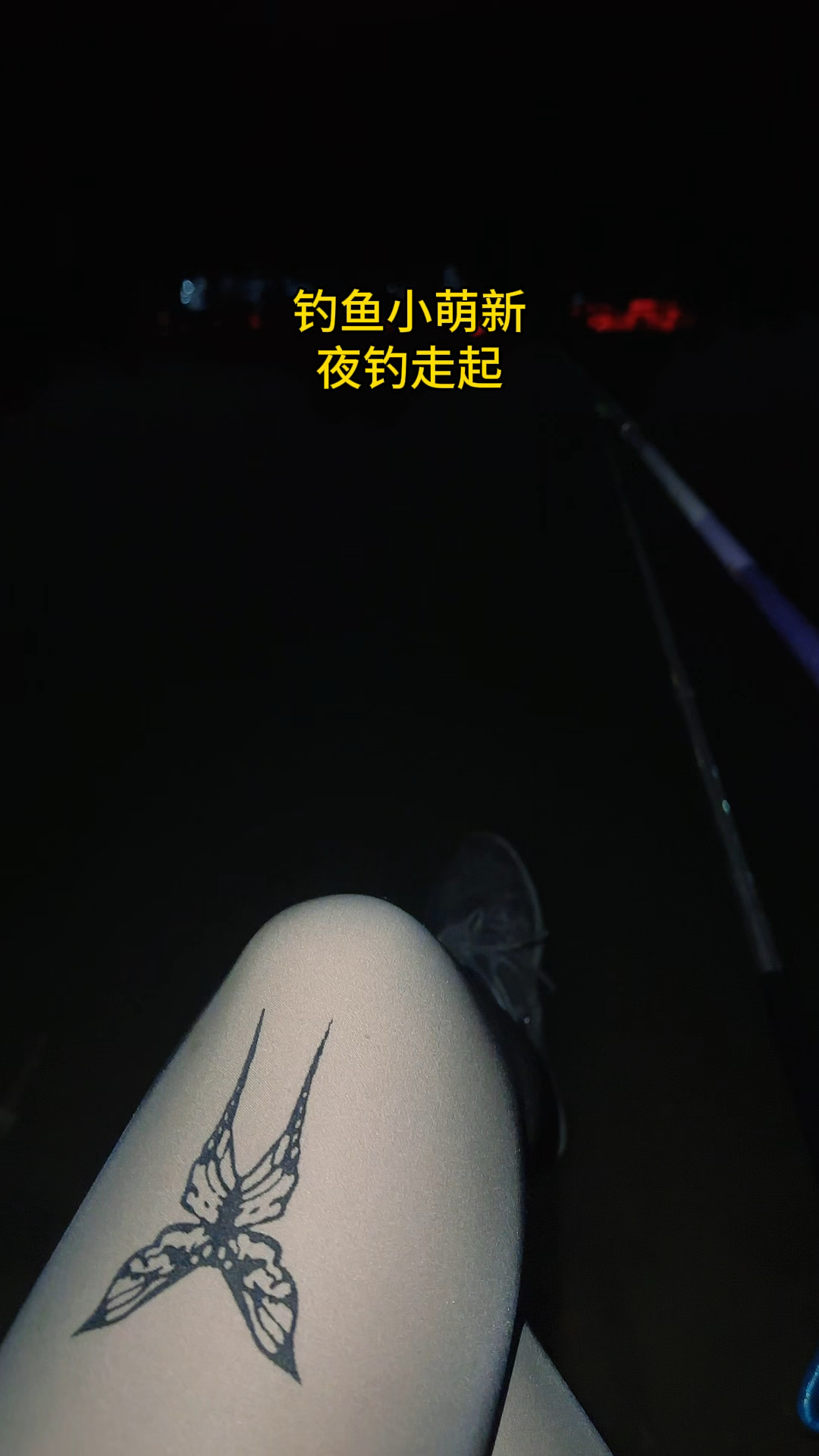 广西的冬天27度,夜钓开始了