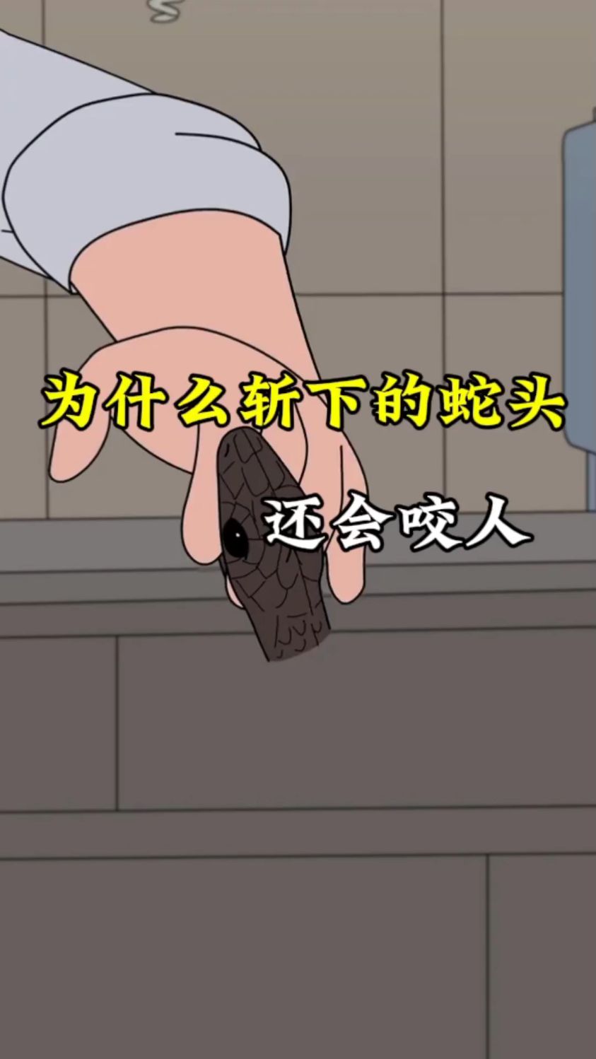 为什么斩下的蛇头 还会咬人#奇闻奇事 #蛇咬人