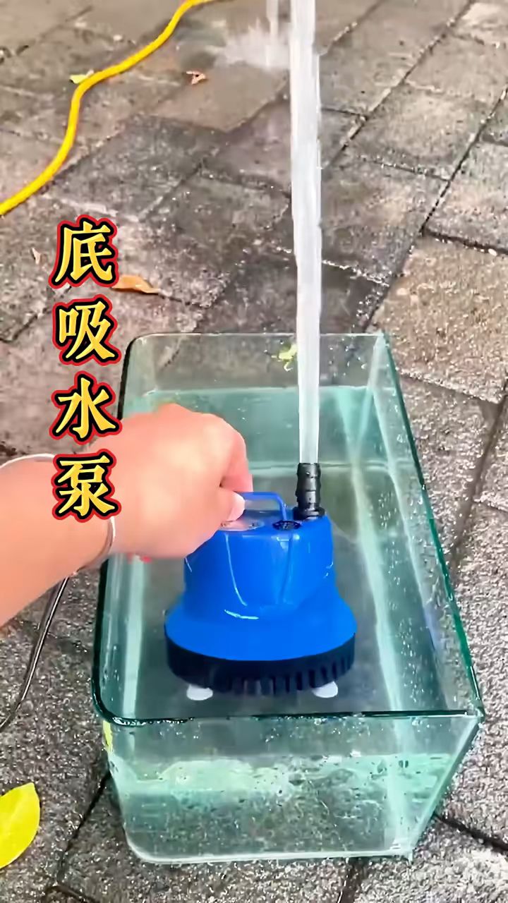 鱼缸底吸水泵 给鱼缸抽水换水就用这个底吸潜水泵