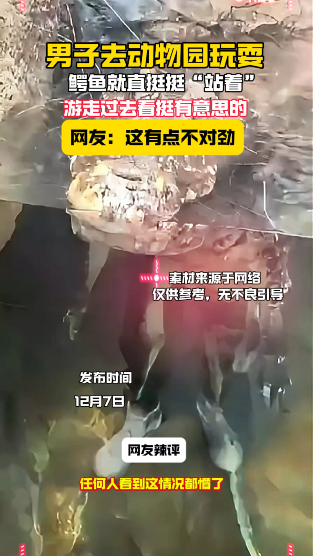 男子去动物园玩耍,看到鳄鱼直挺挺“站着”,后来才发现不对劲