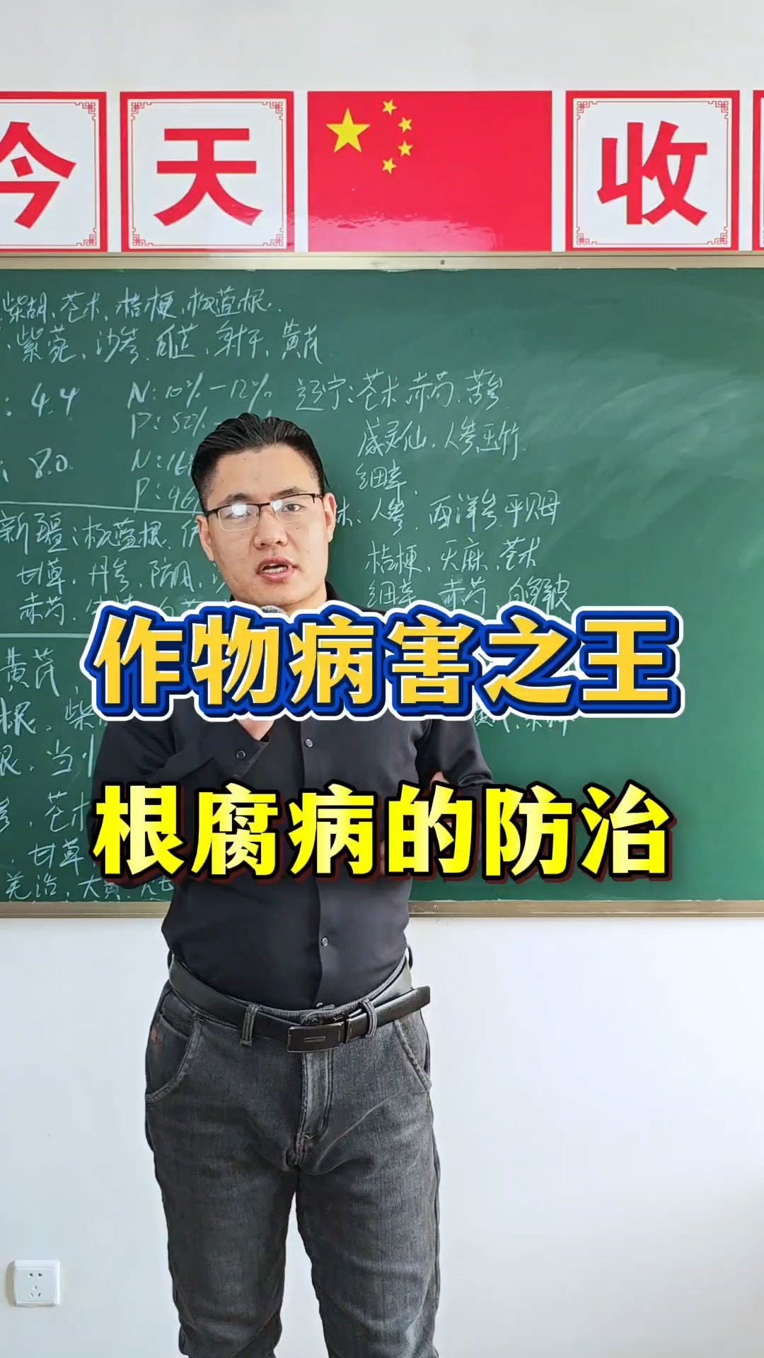 作物根腐病最佳防治方案!根腐病用什么药治疗最好!