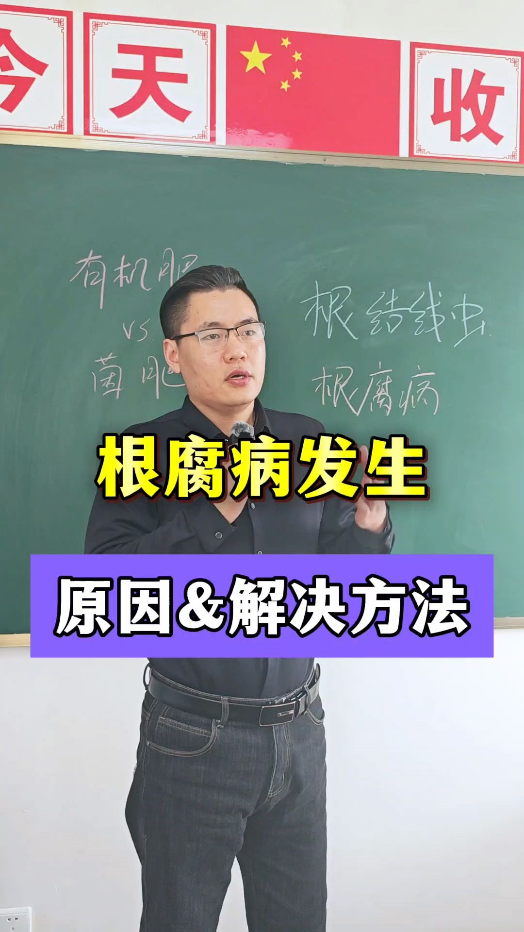 作物根腐病发生原因以及彻底根除方法?根腐病爆发用什么药急救!