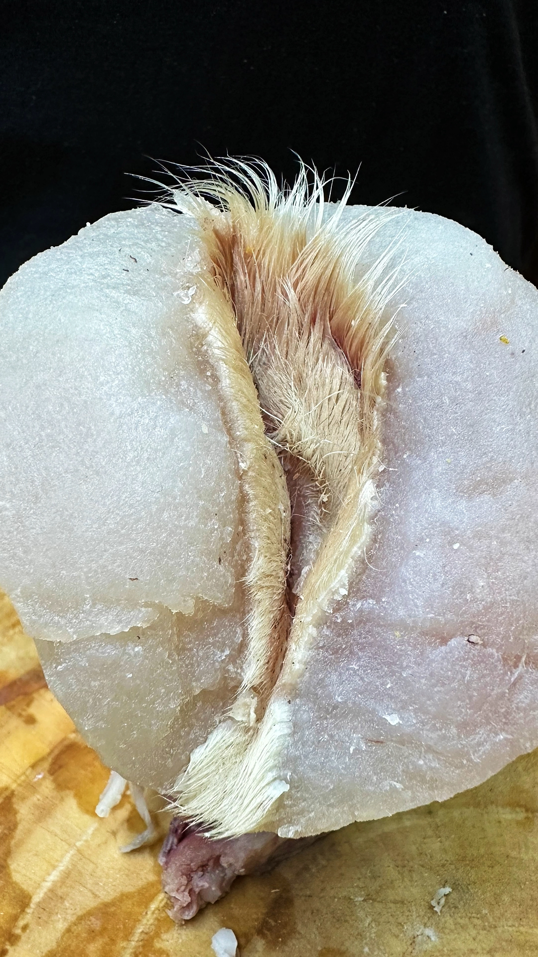 烧烤店的风味碳烤牛眼肉