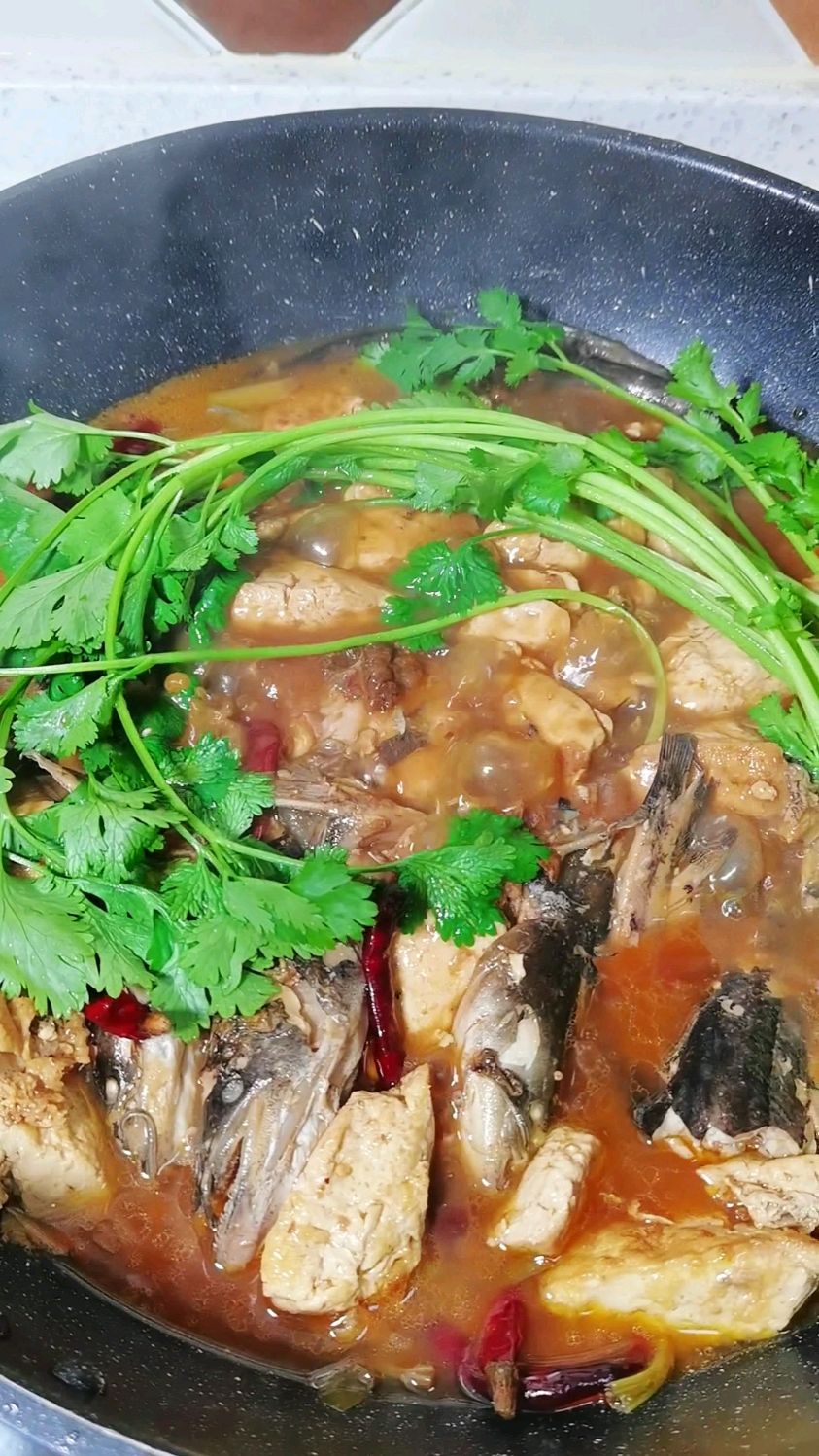 鲶鱼炖豆腐 吃撑老爷子 汤汁泡饭太香了#鲶鱼炖豆腐