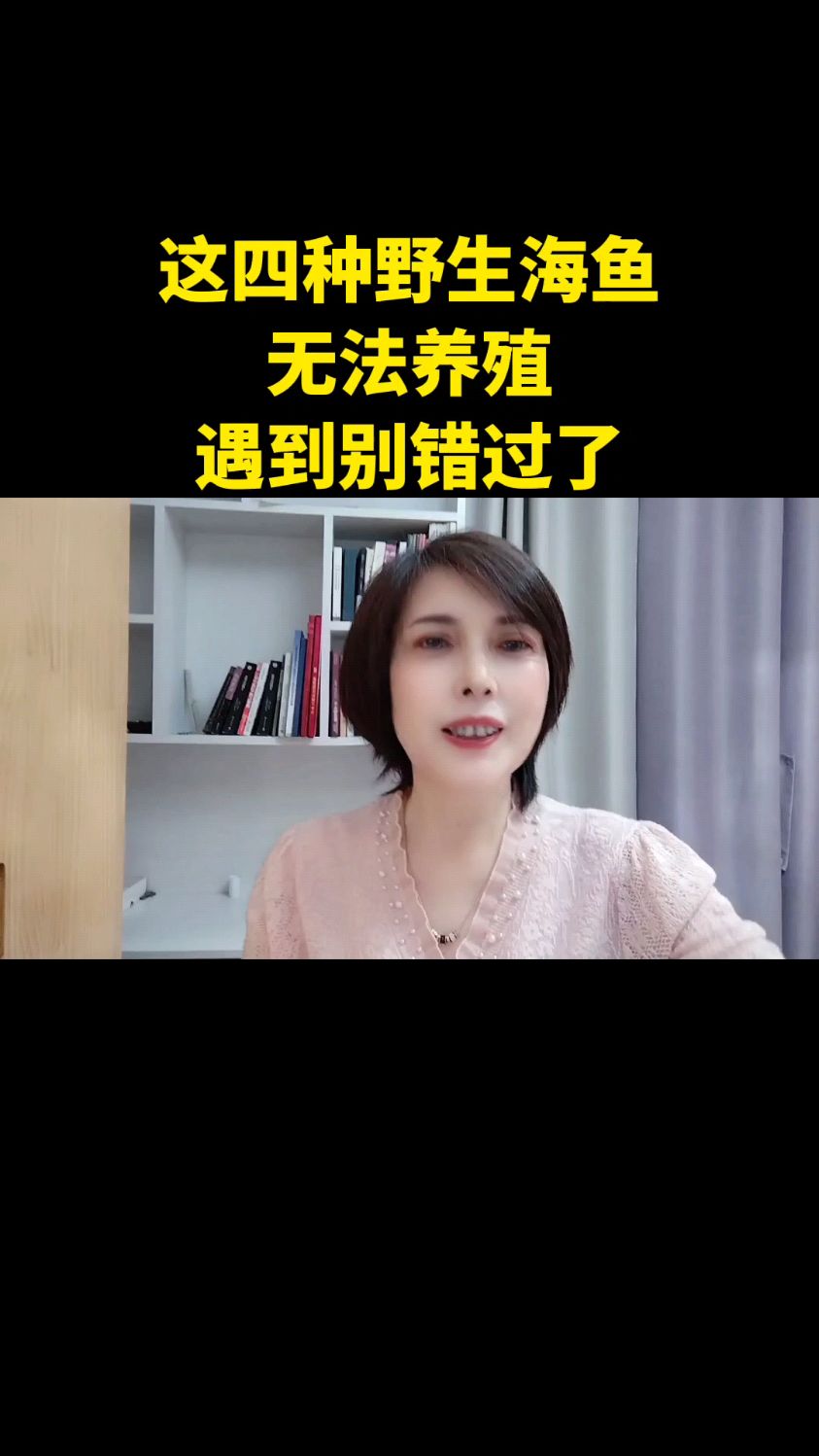 这四种野生海鱼无法养殖遇到别错过