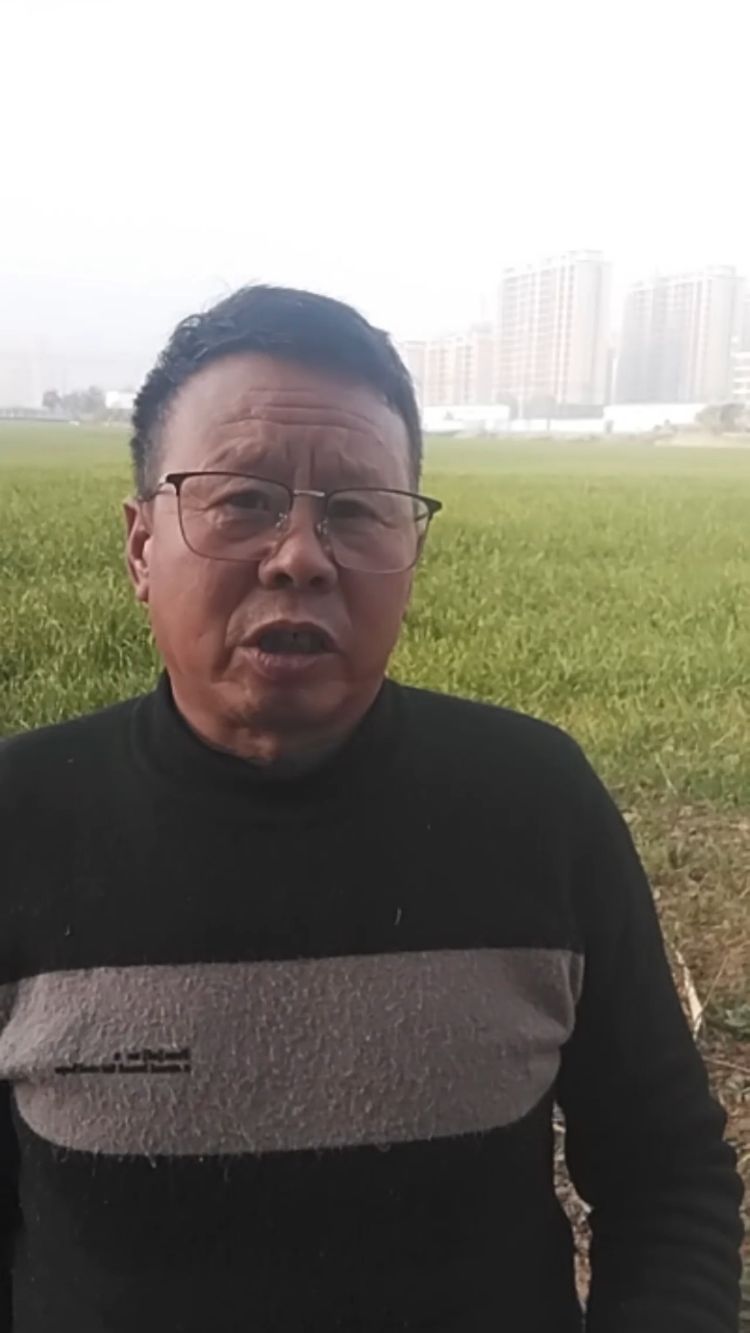 十二月份适合种哪青菜呢?