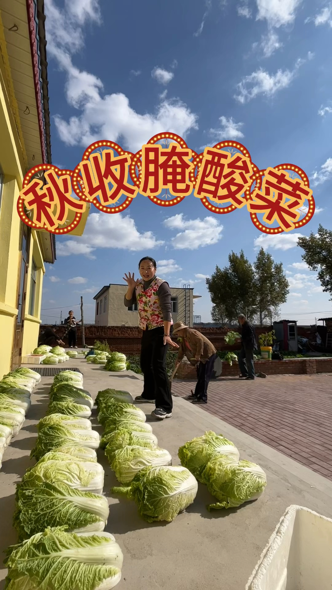 东北农村生活,秋储腌酸菜,涛哥今年吃现成的,翠花做水煮肉片