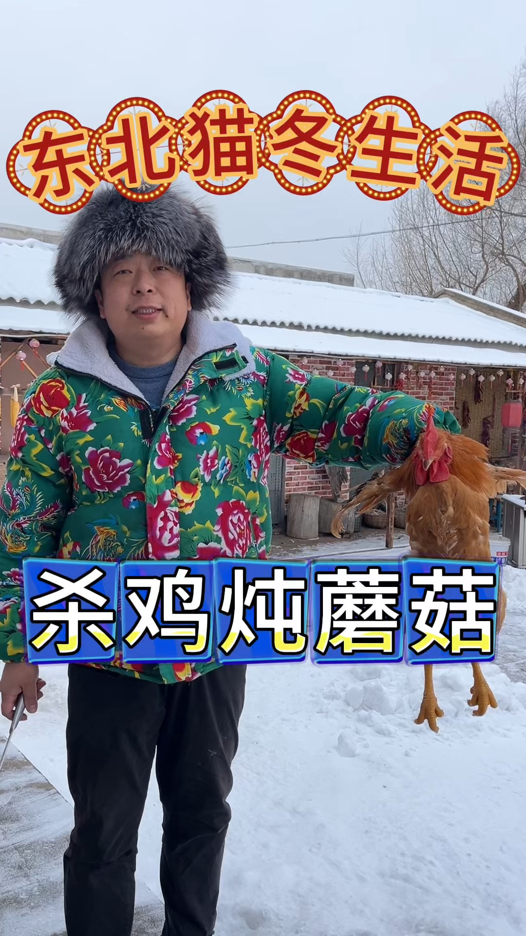 东北猫冬生活,下雪杀土鸡,翠花做小鸡炖蘑菇,地道东北味,真香