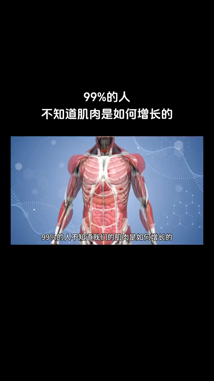 99%的人不知道肌肉是如何增长的