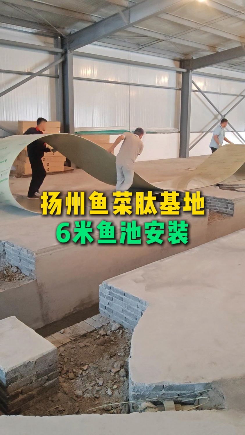 六米直径PP鱼池安装,继续带大家看看循环水高密度养殖