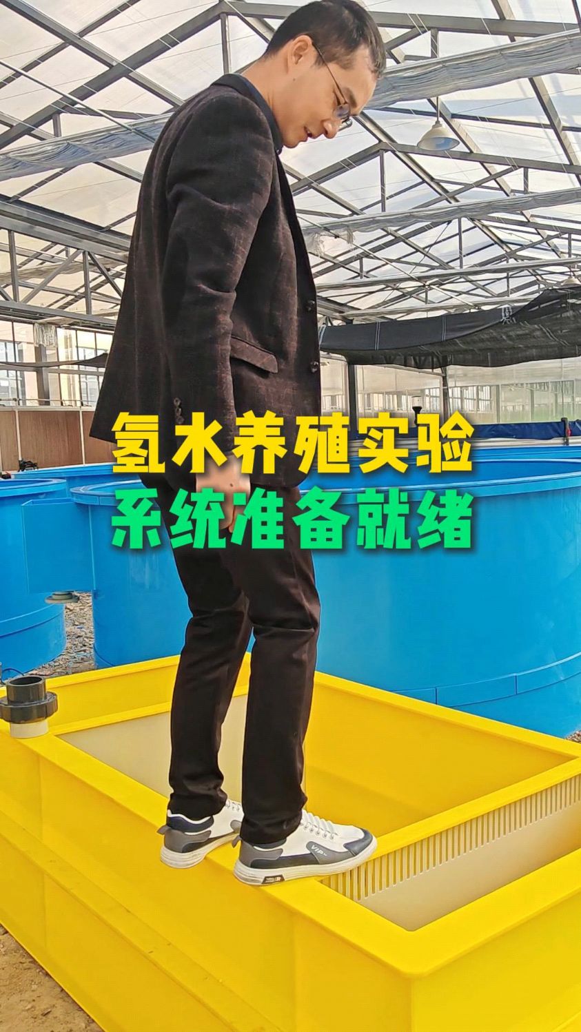 把工厂化鱼菜共生循环水养殖无土栽培引入到家庭阳台庭院鱼菜共生