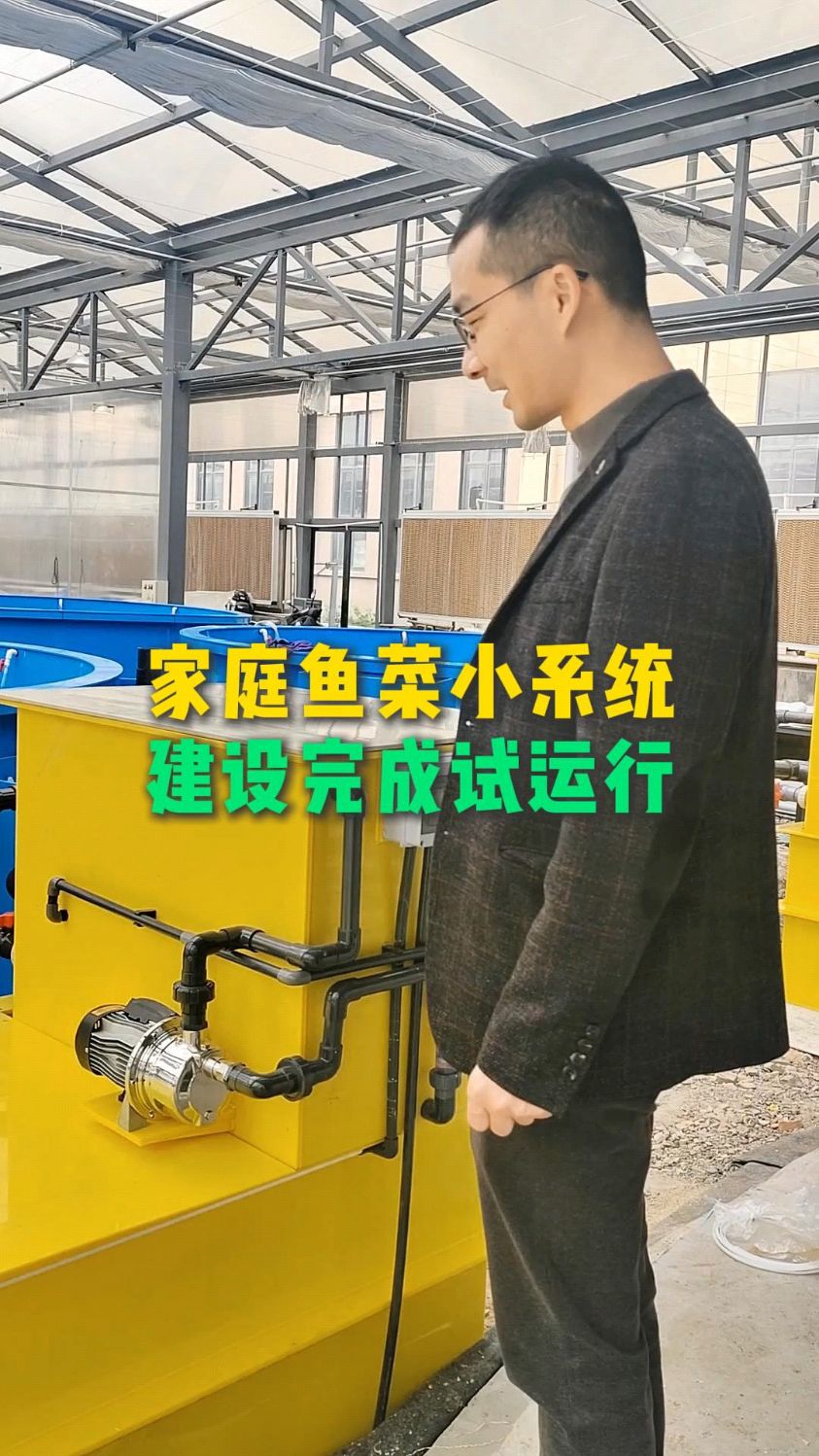 工厂化鱼菜共生循环水养殖无土栽培模式家庭阳台庭院鱼菜共生种养