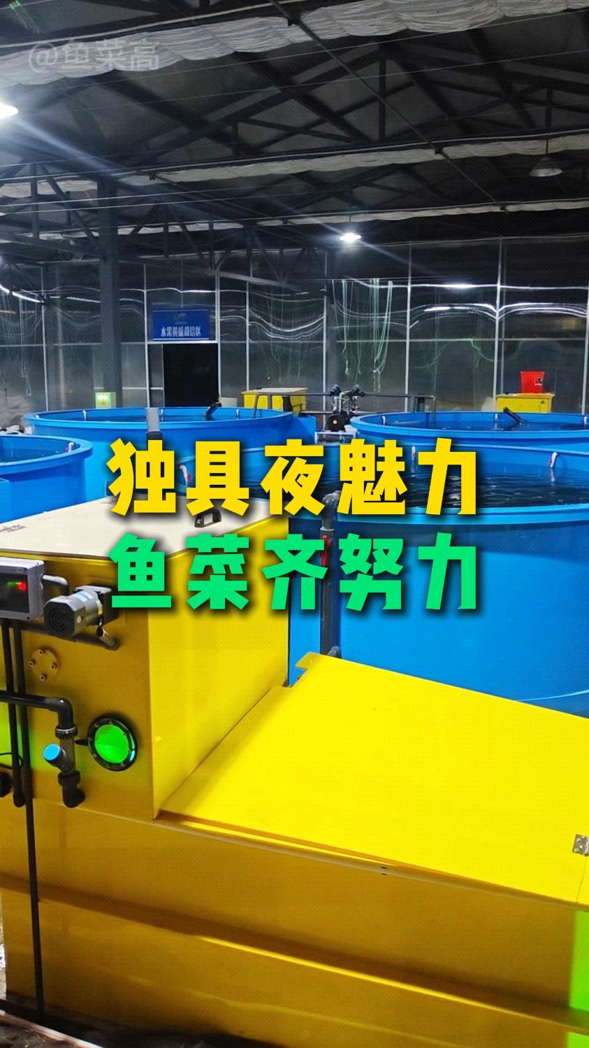 产业化鱼菜共生循环水养殖无土栽培模式引入到家庭阳台庭院