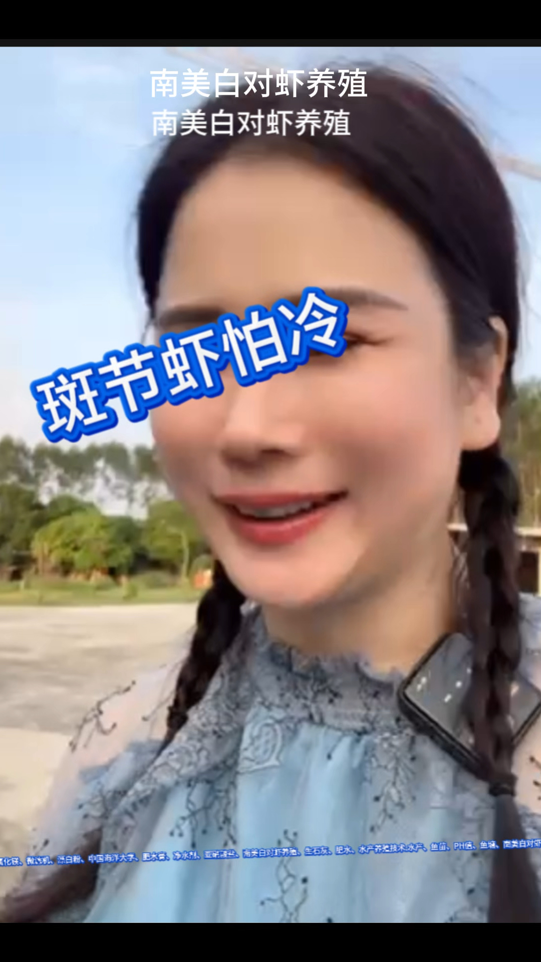 外塘斑节虾很怕冷空气#工厂化养虾 #南美白对虾养殖 #养虾人