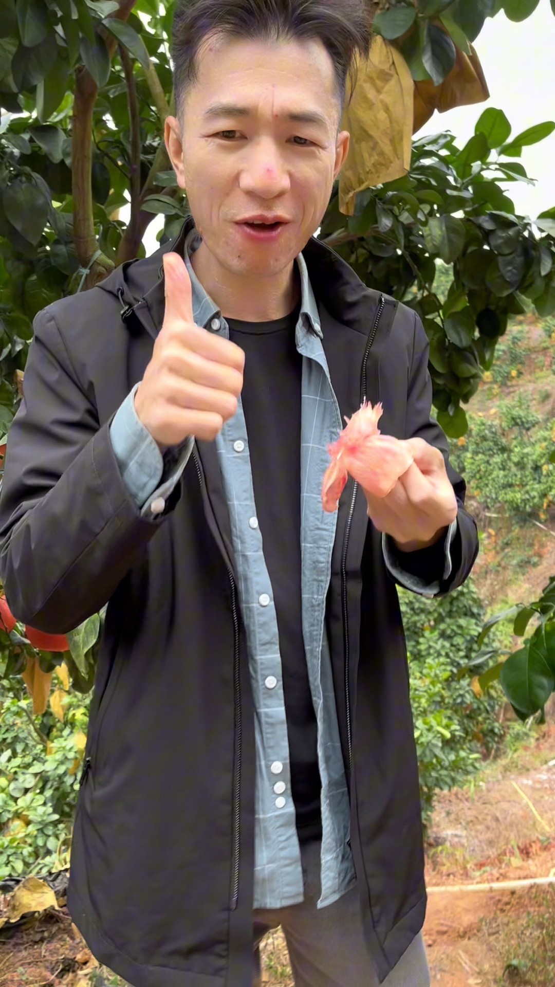 泰国暹罗红柚到底好不好吃?来自果园第一现场的反馈!你想品尝吗