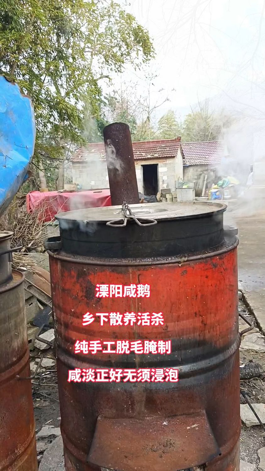 天目姐姐分享乡下杀鹅场景,溧阳咸鹅乡下散养活杀纯手工脱毛腌制