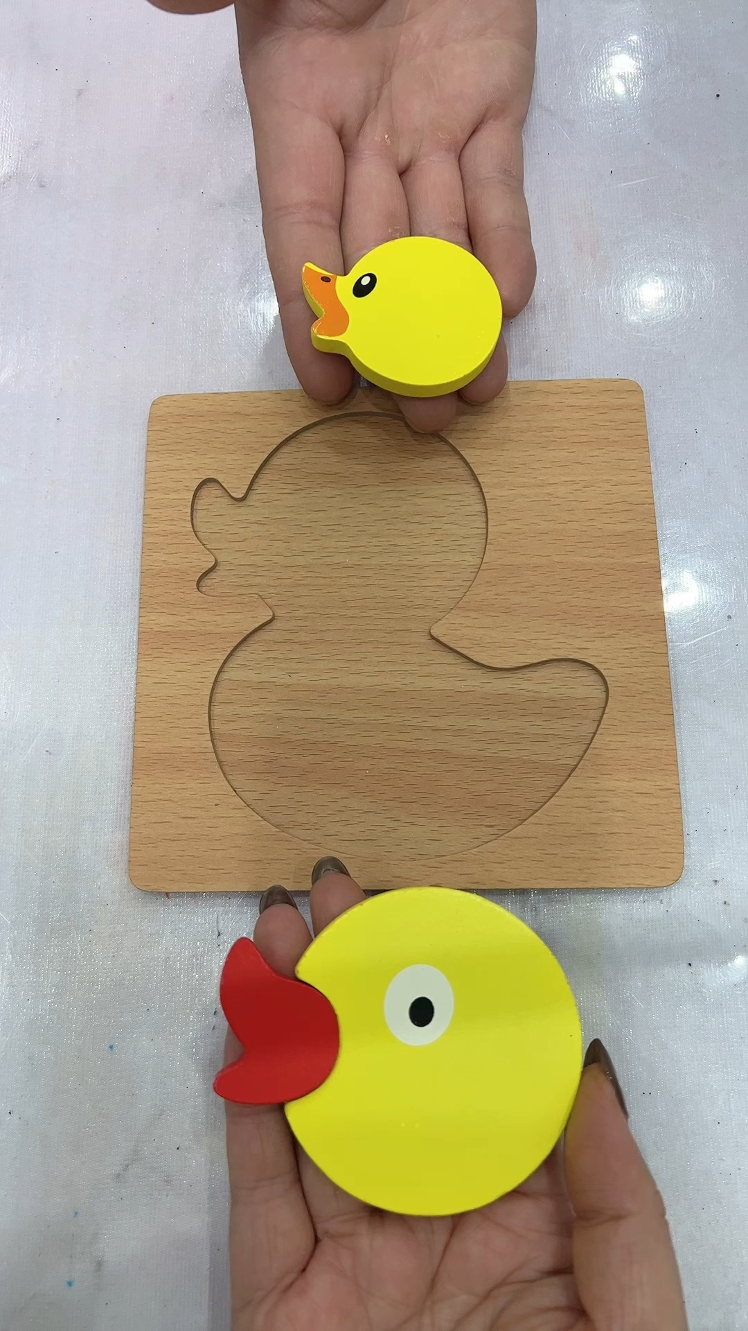 这到底是不是找小鸭子的家呢?