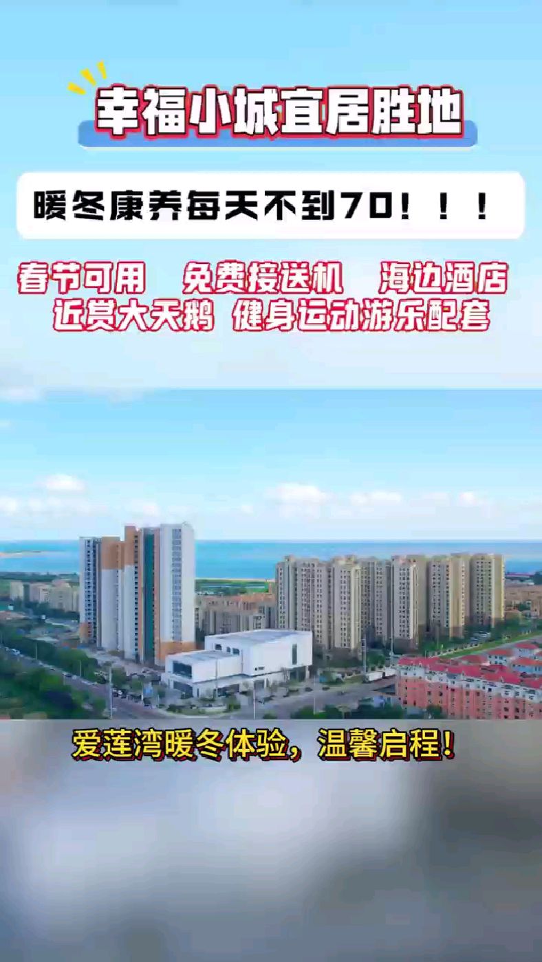 威海爱莲湾暖冬康养,近赏西伯利亚大天鹅