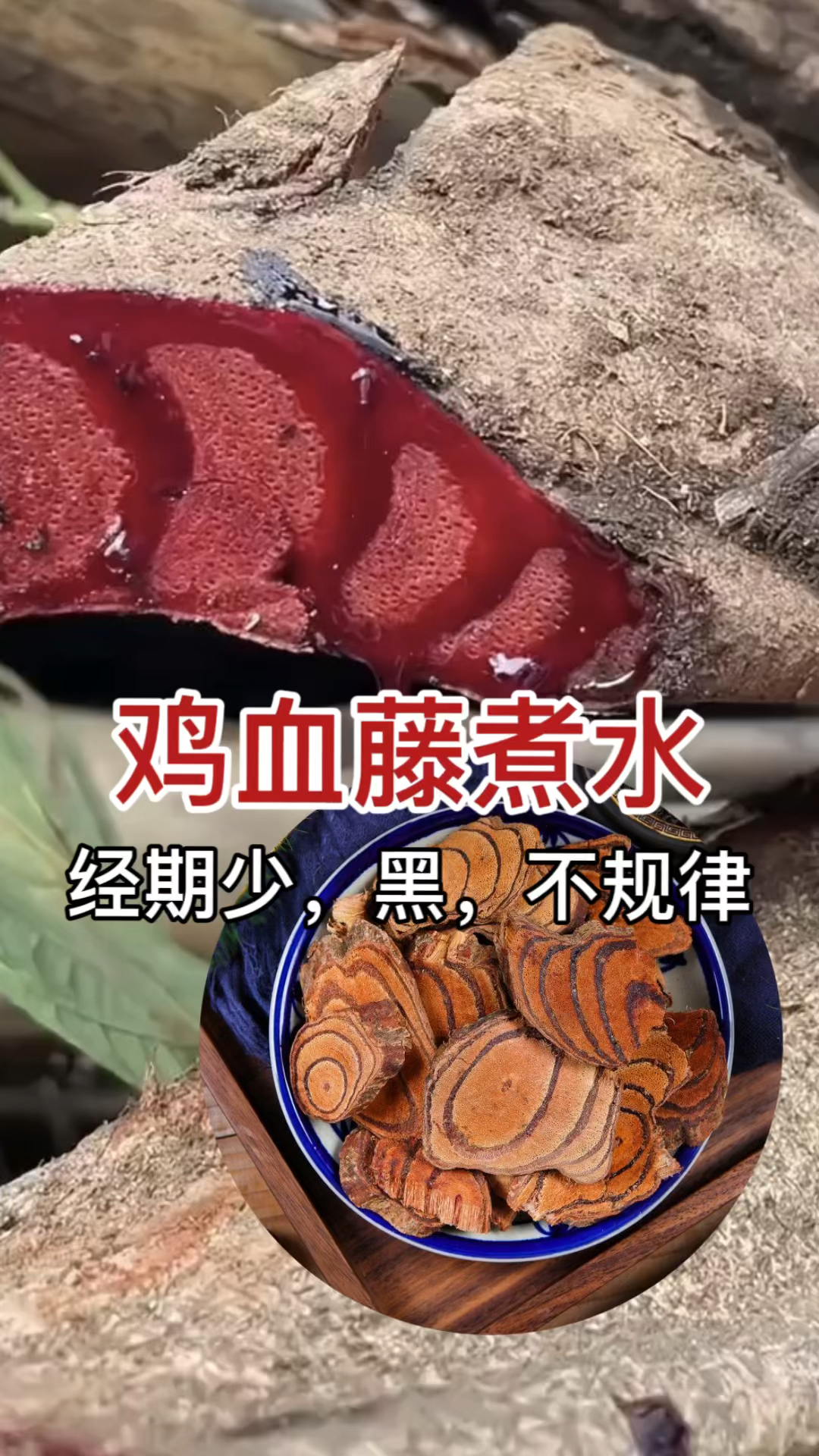 罕见植物鸡血藤,砍断会流出红色液体,女性朋友的最爱