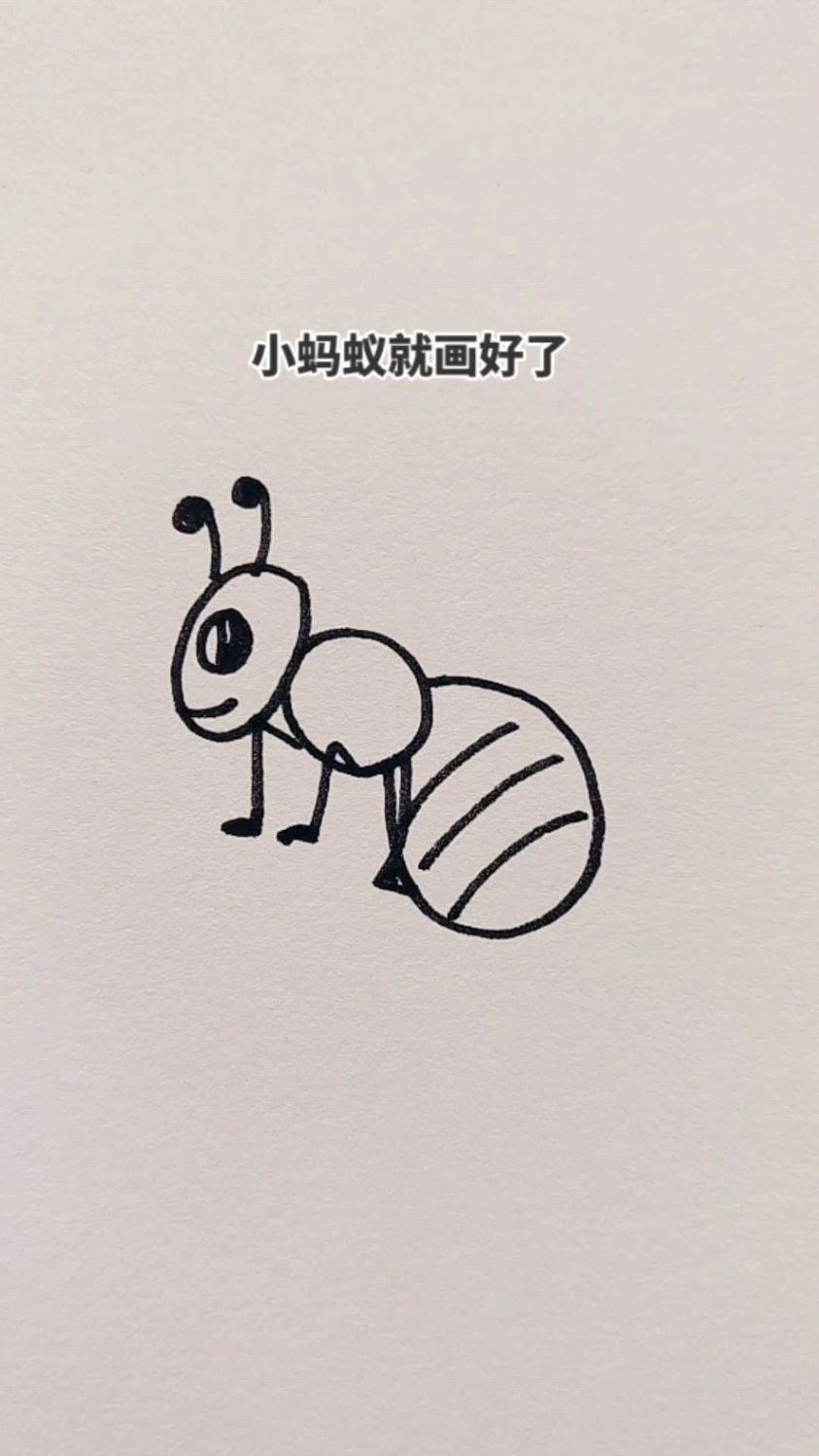 三个鸡蛋画蚂蚁!