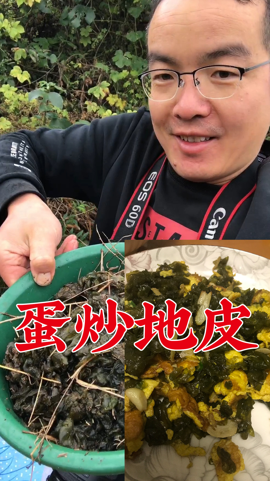 鸡蛋炒地皮地衣菜