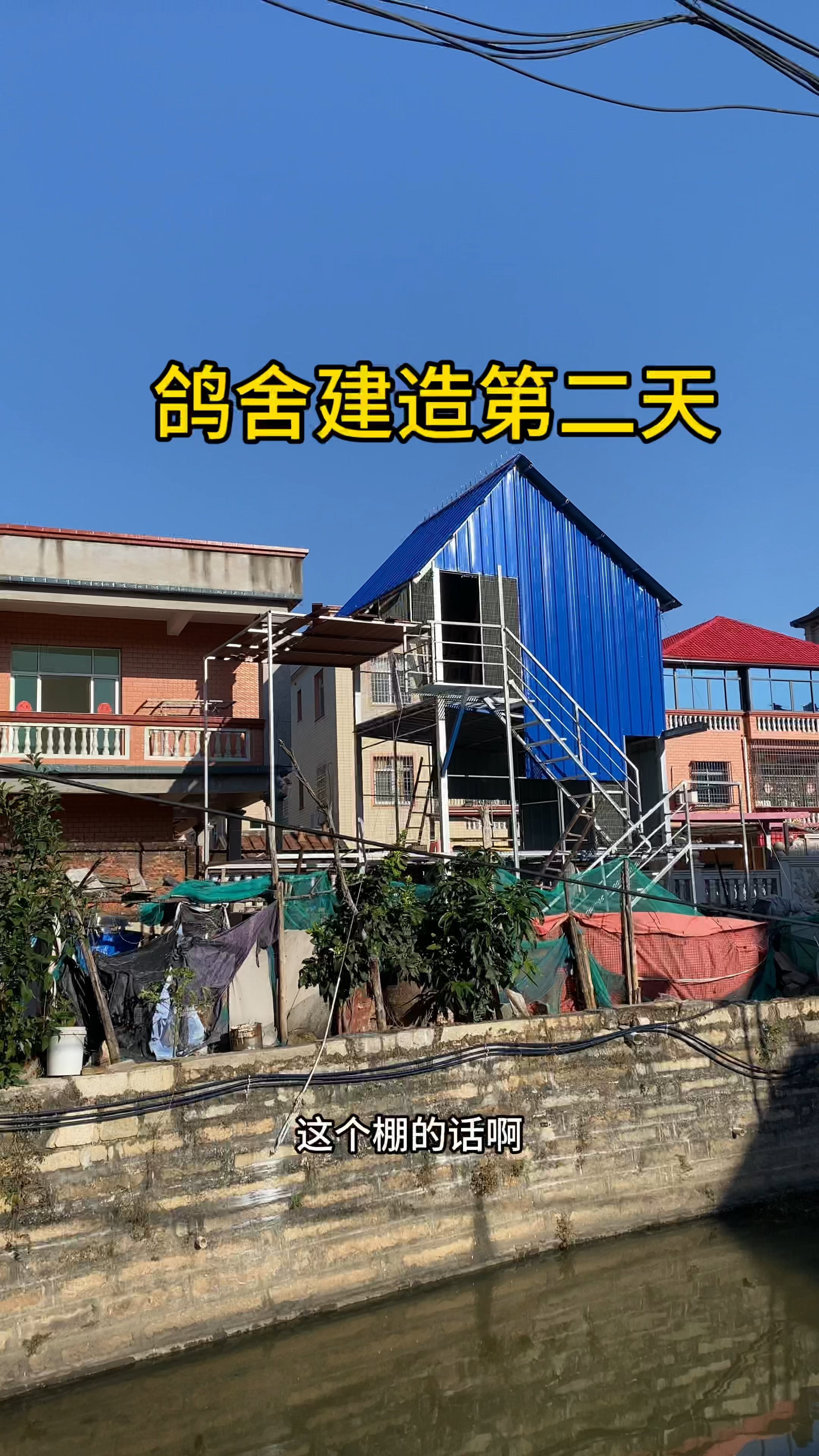 三层鸽舍建造第二天