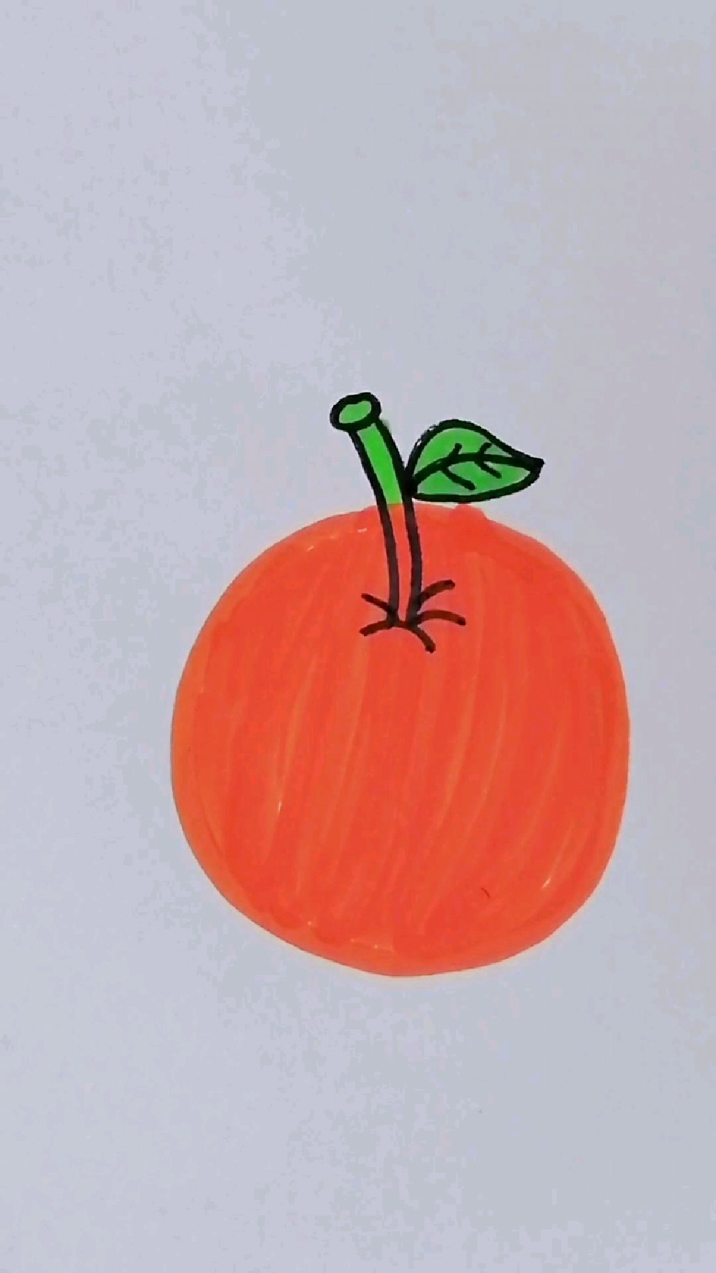 简单的橙子简笔画