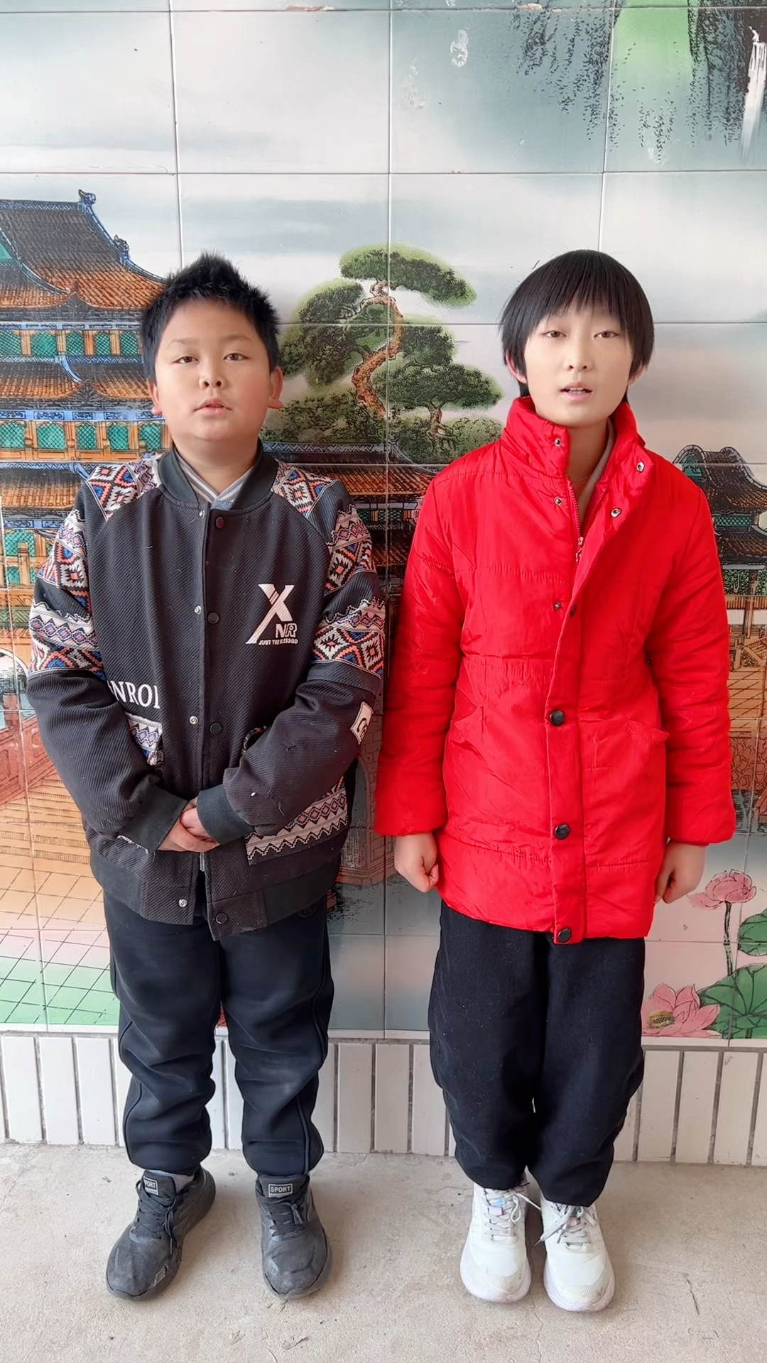 铁打的公鸡_一毛不拔