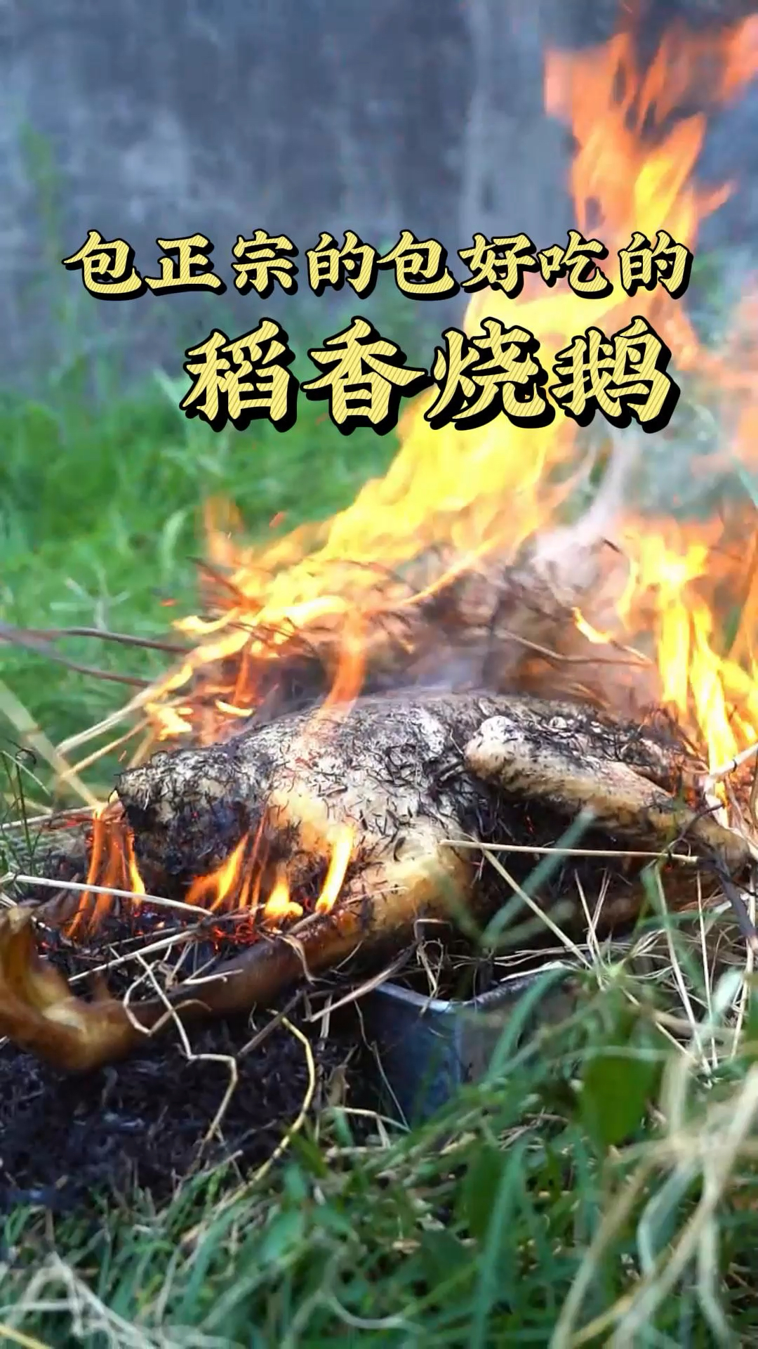 这一定是最正宗的烧鹅,不接受反驳~