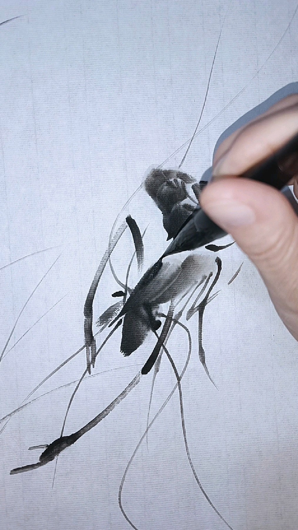这只小虾有点翘,跟我一起来画虾吧