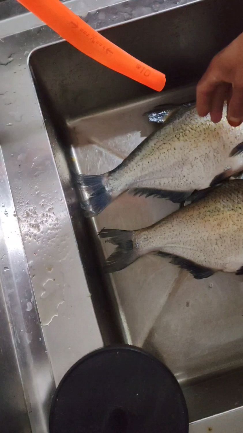 跟老李学做白洋淀熏鱼—洗鱼要点