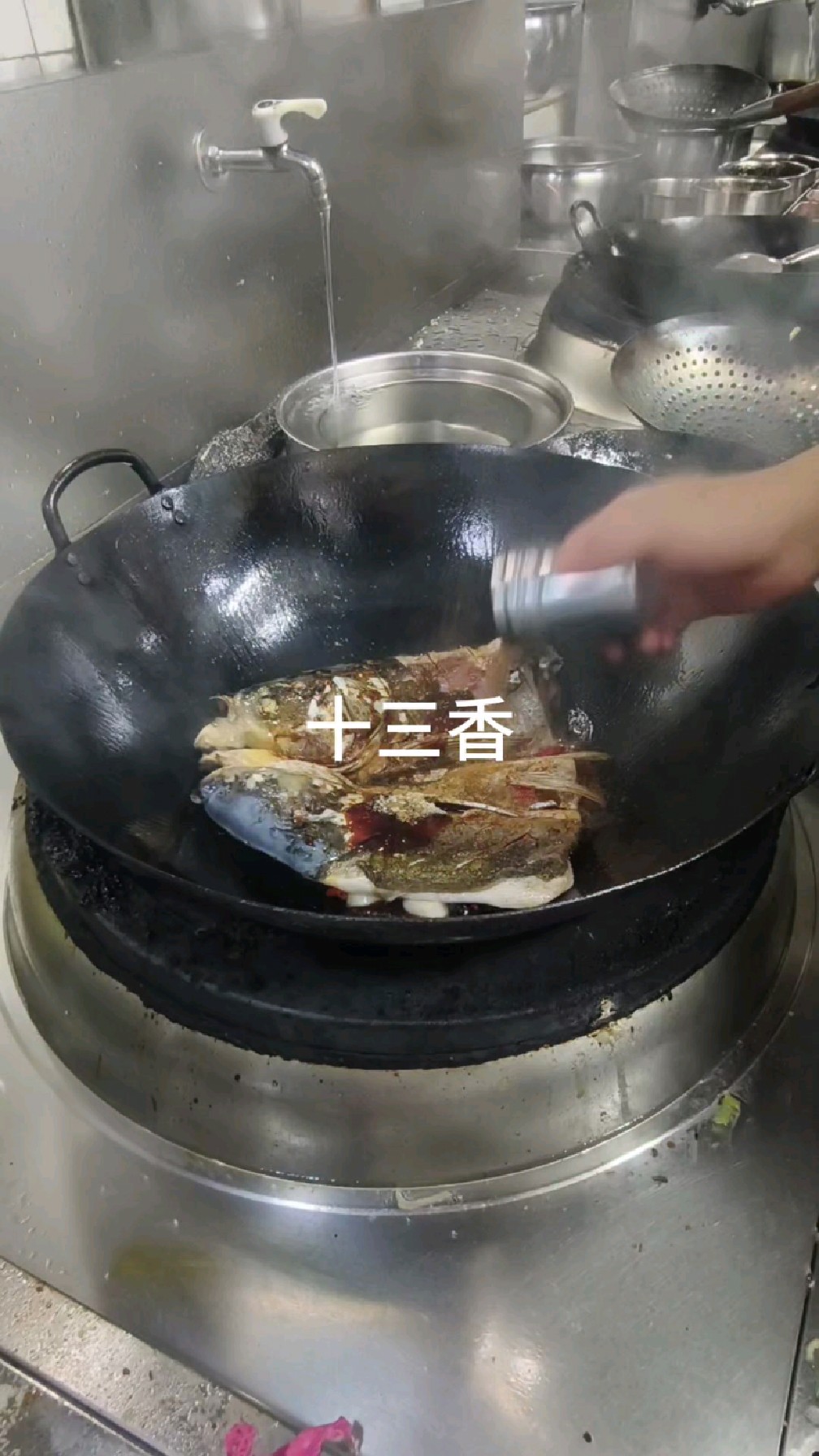 花鲢鱼头炖豆腐。