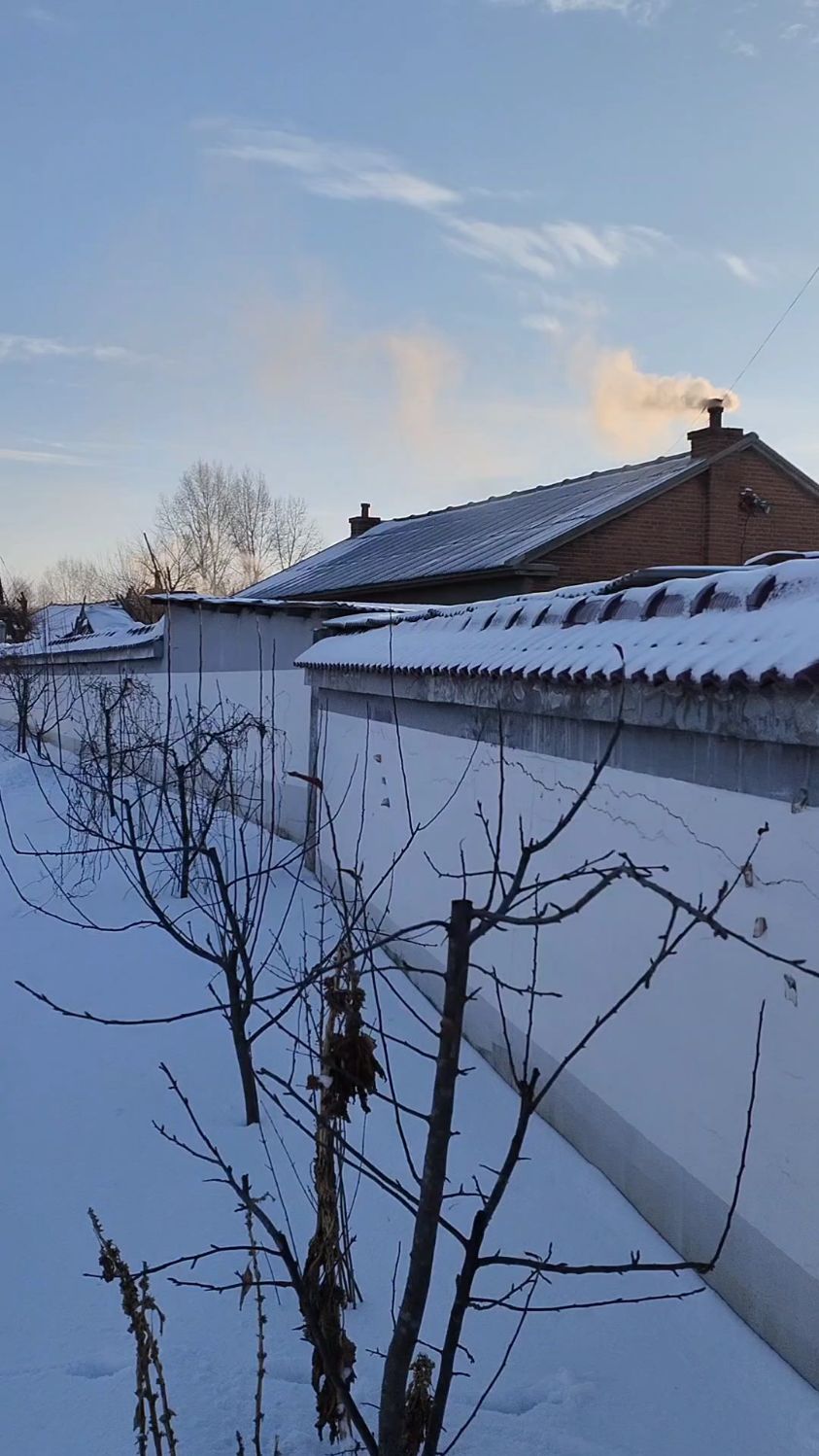东北农村的冬天,冰天雪地,天高云低,这景色太美了