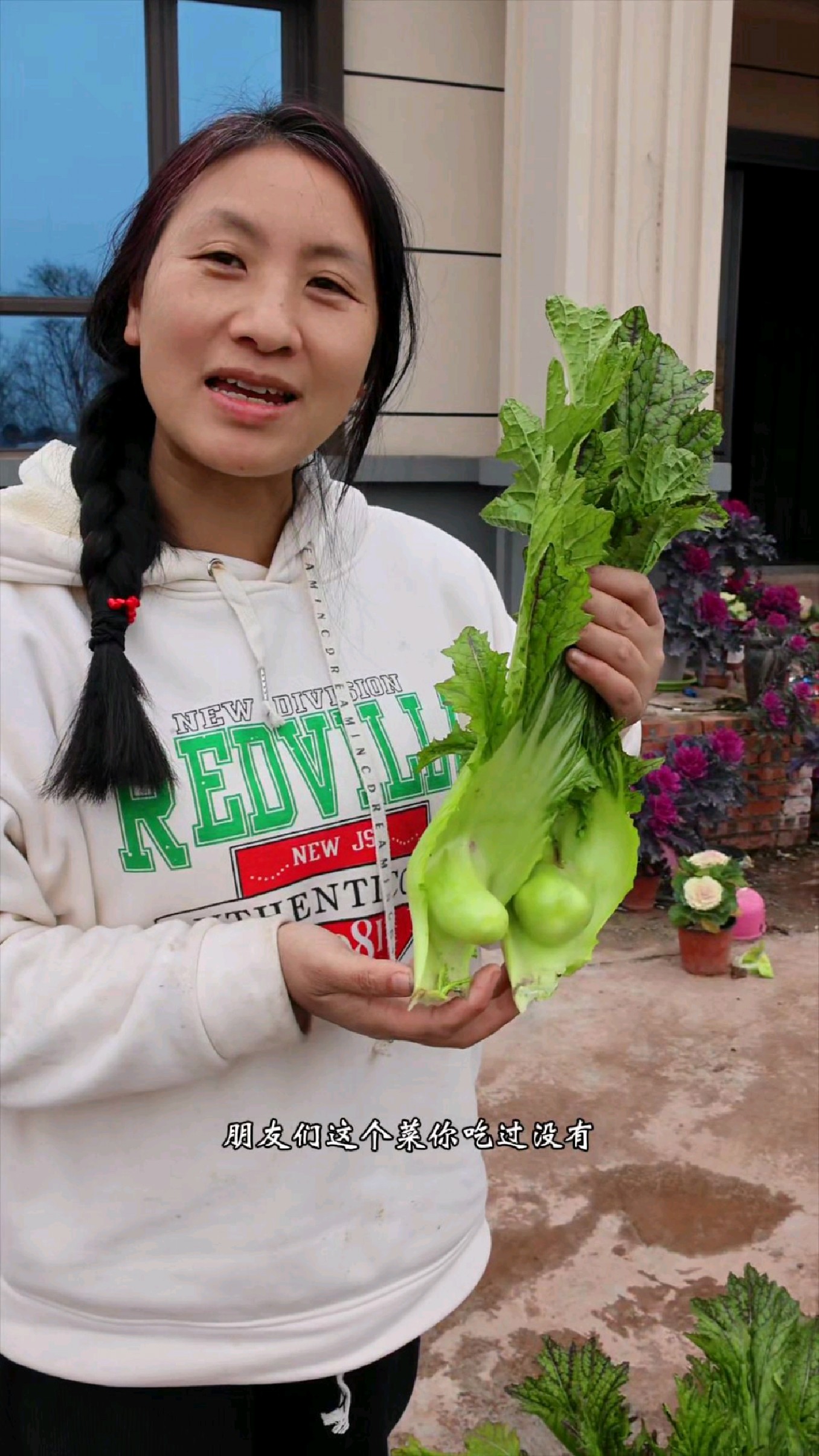 第一次在花盆里种植川渝特色奶奶菜,长得还将就,撇两块尝一下。