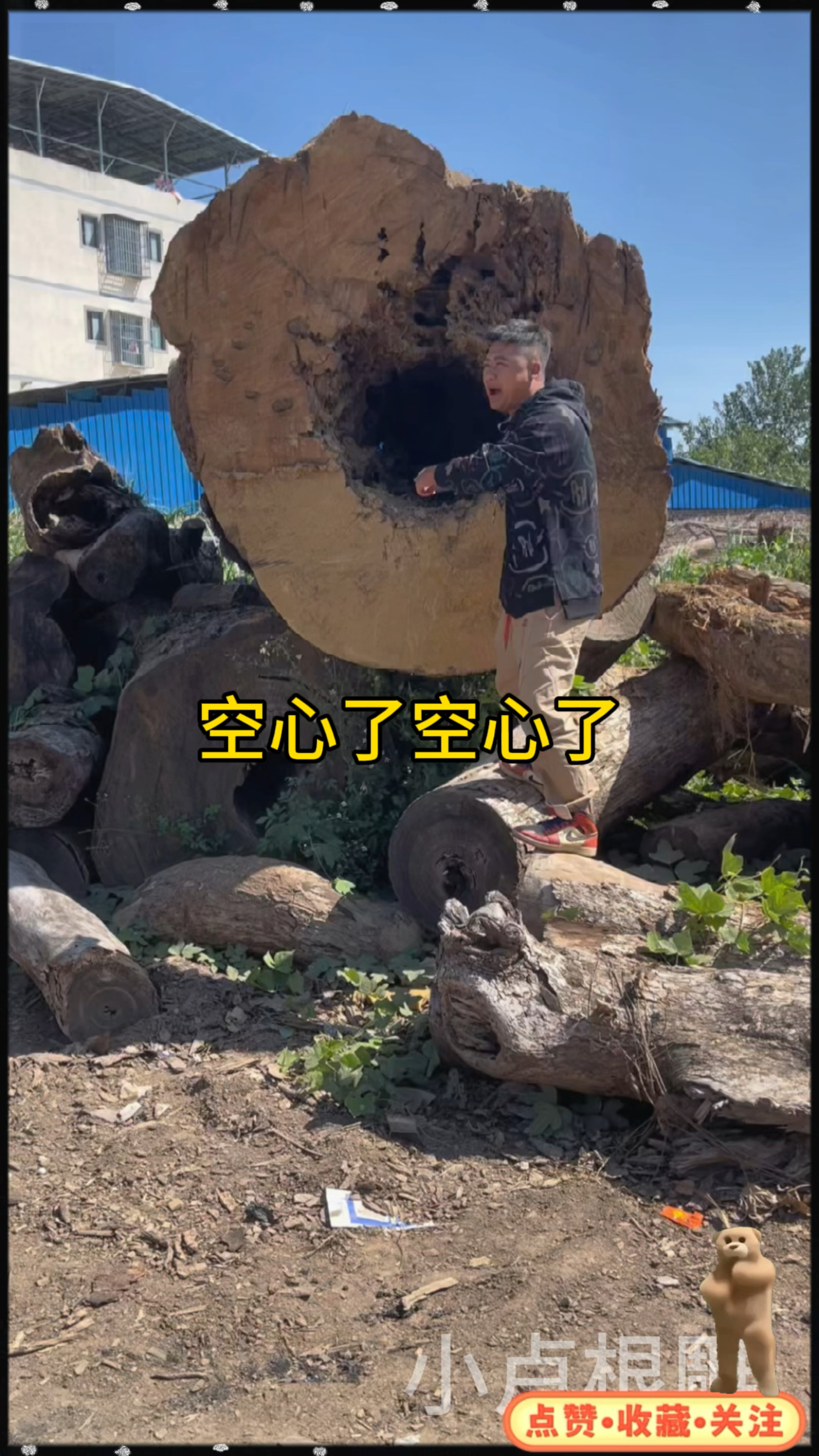 #茶桌#茶台#根雕#摆件#手艺人#匠心制作