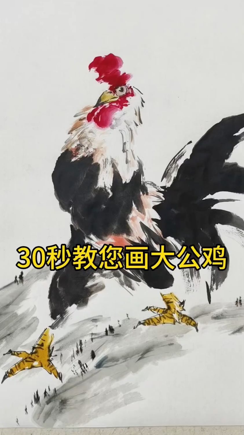 公鸡母鸡,公鸡中的战斗鸡,欧耶!