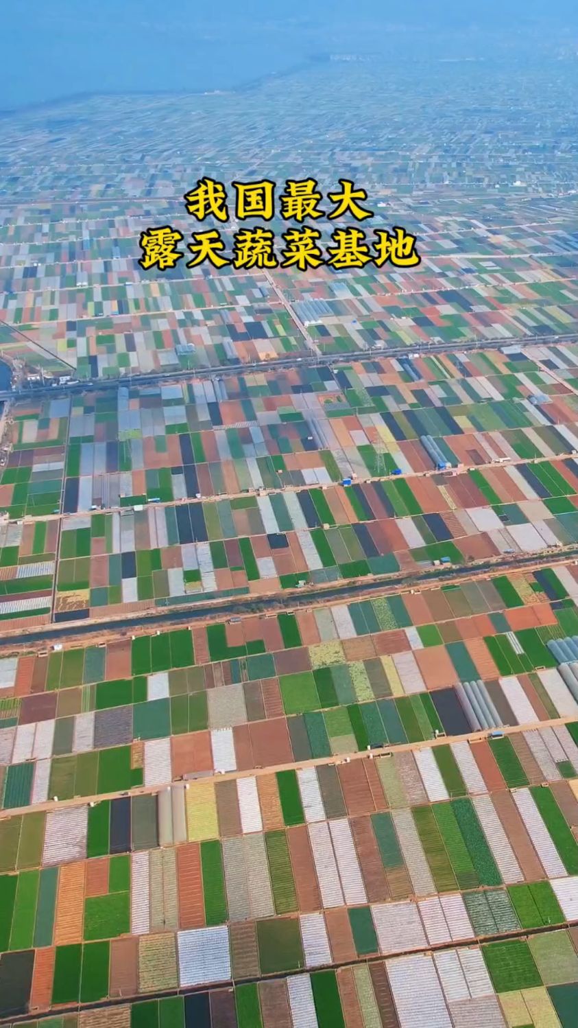 全国最大露天蔬菜基地