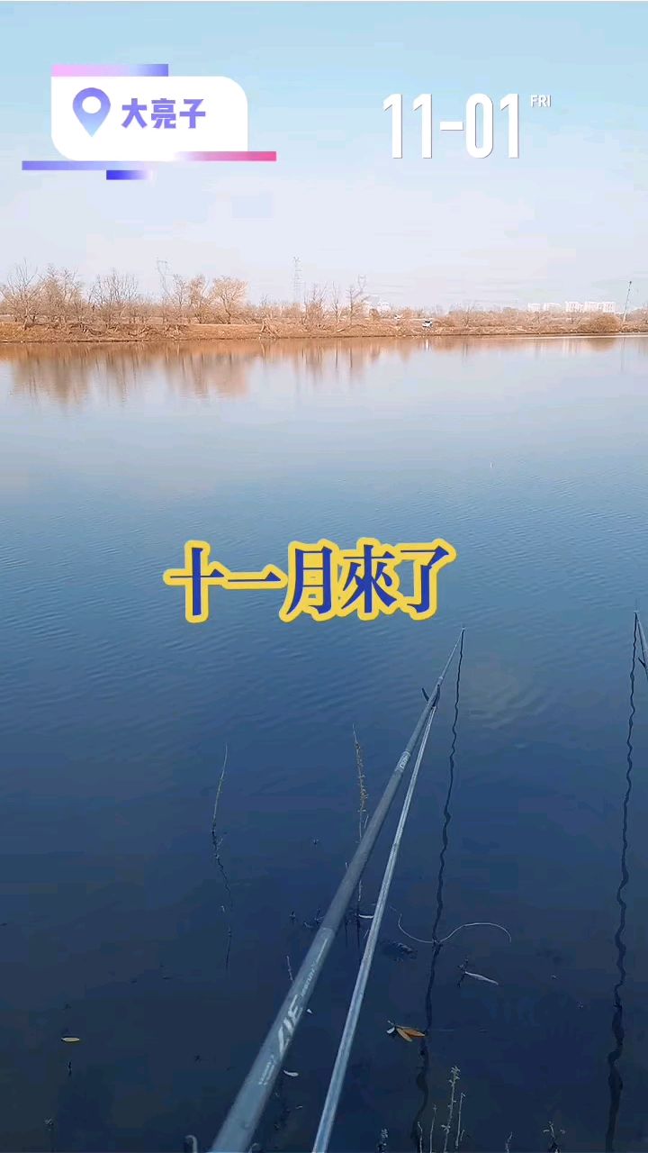 11月来了,必须要封杆了,抓住最后的时间,再坚持几天