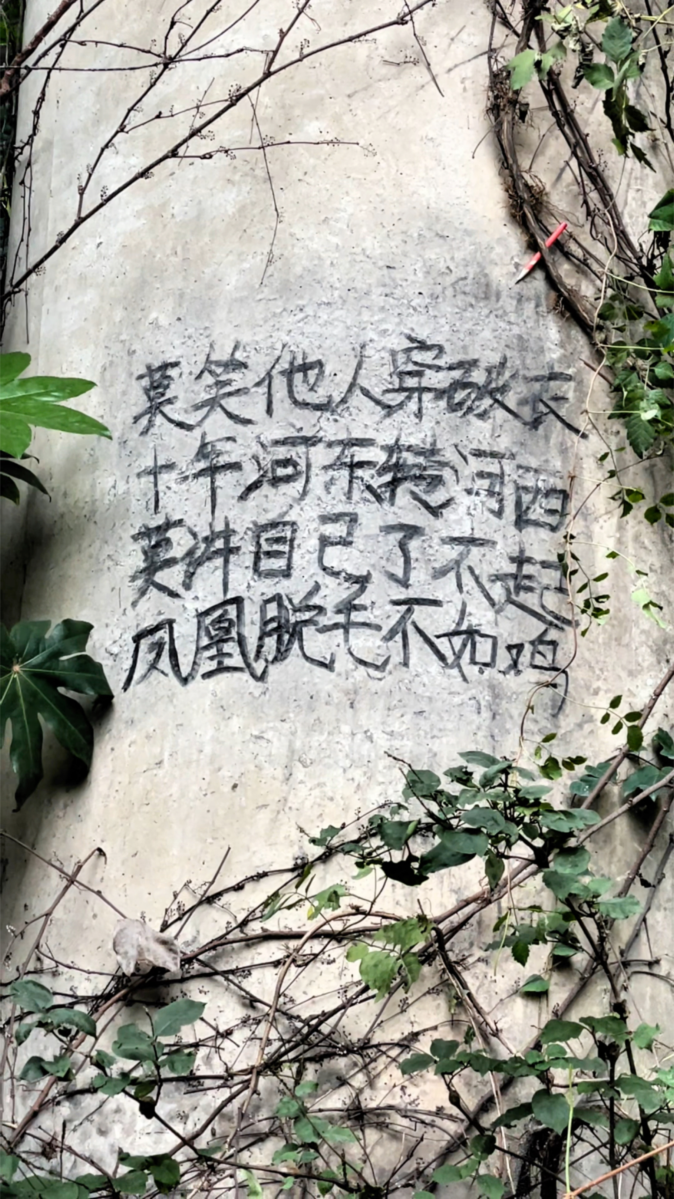 凤凰脱毛不如鸡#老人言 #人生感悟 #国学智慧 #自古评论区出人才