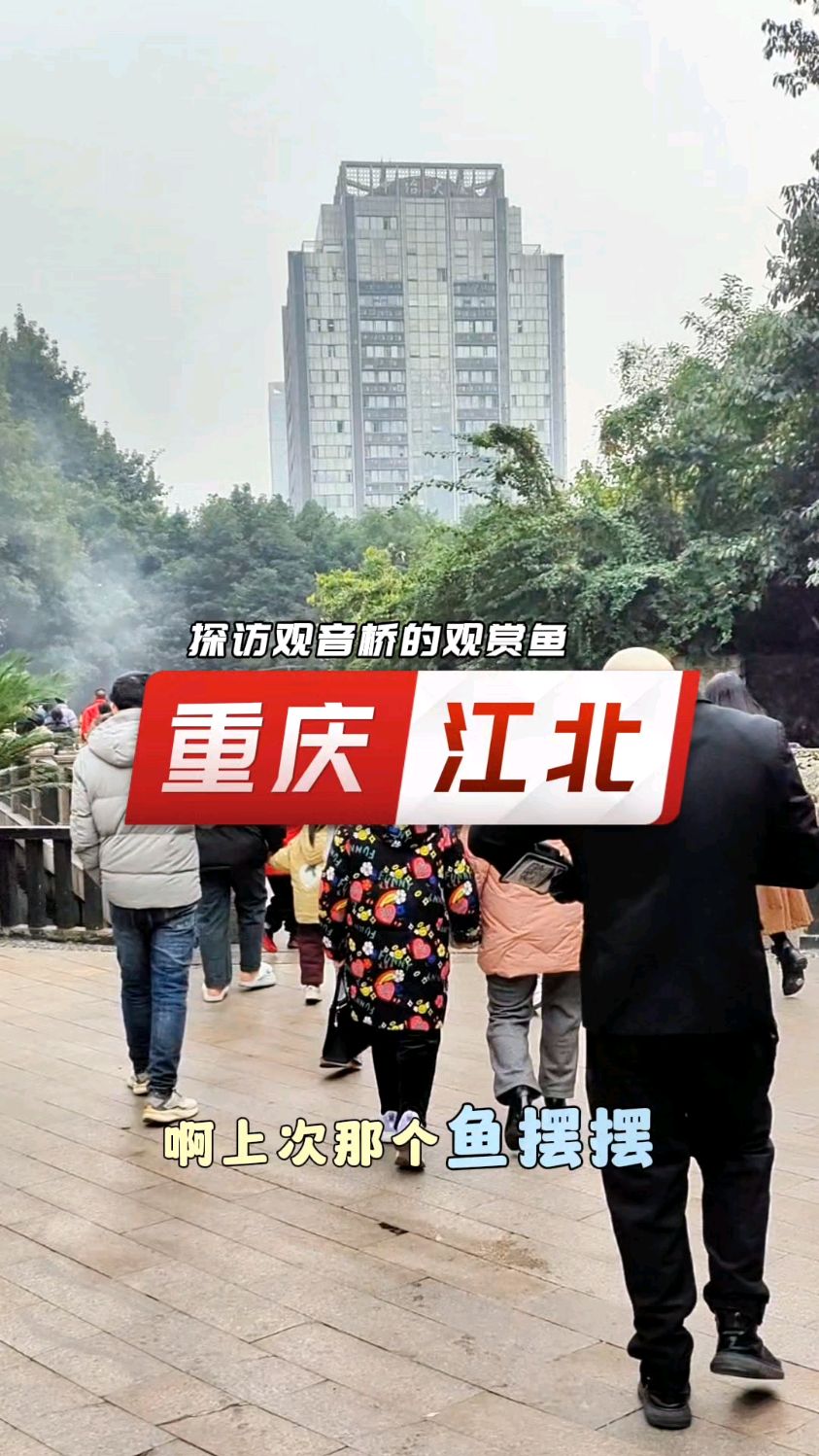 实地探访重庆观音桥的观赏鱼池,看到了这样的景象!