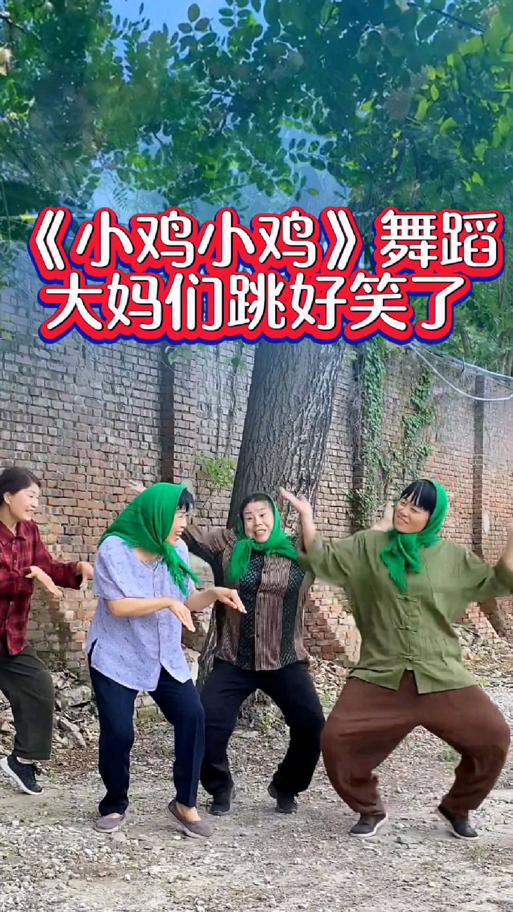 大妈们真搞笑《小鸡小鸡》跳得太好了