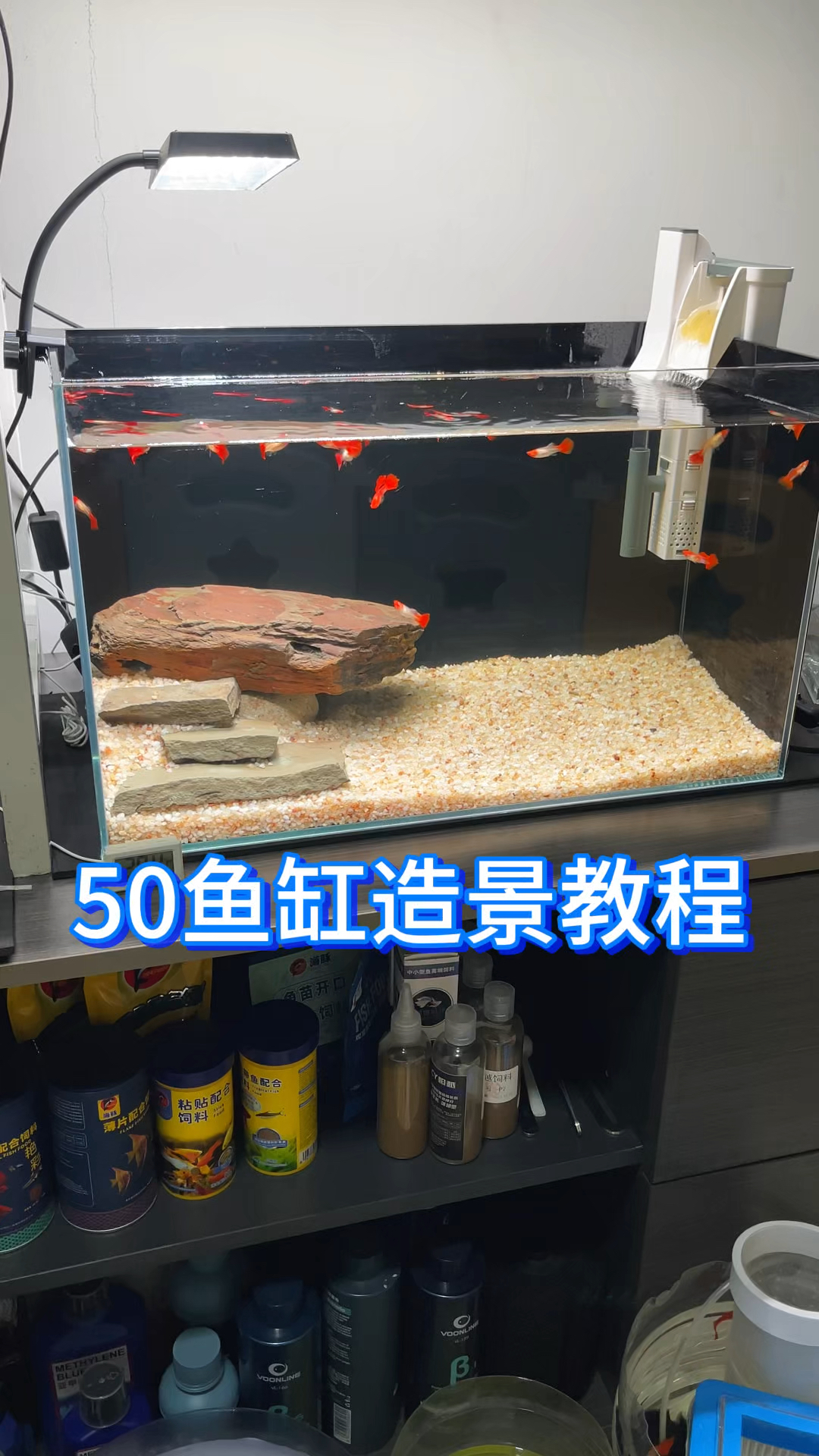 50鱼缸随意造景教程