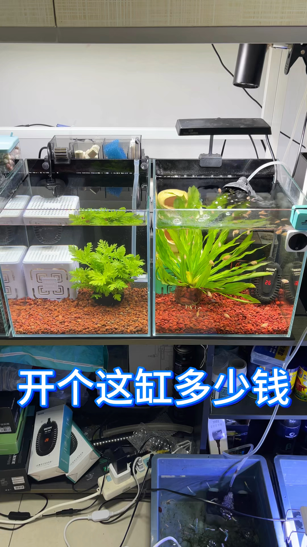 开个缸要多少钱?前两天花了50元淘了两个缸,这种养鱼方式太爽了