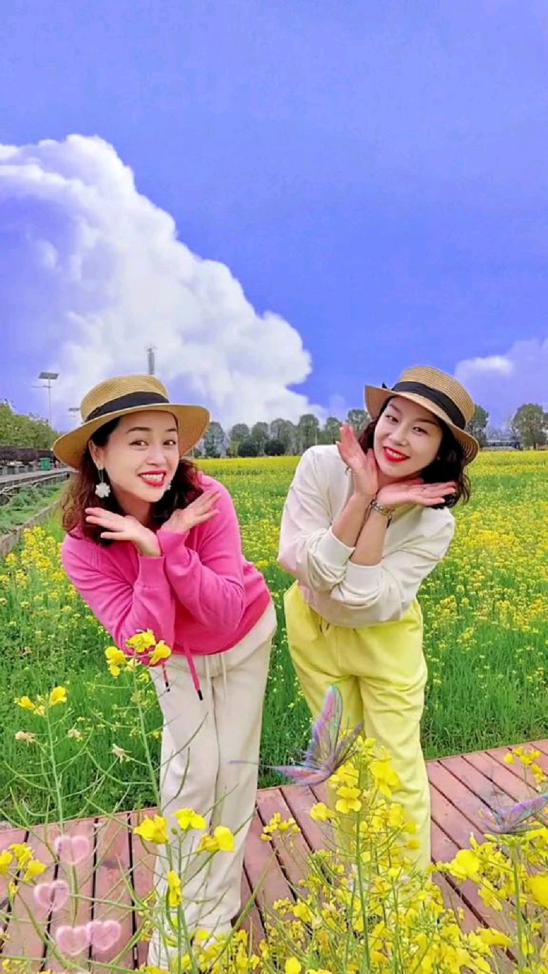 油菜花地里拍照姿势