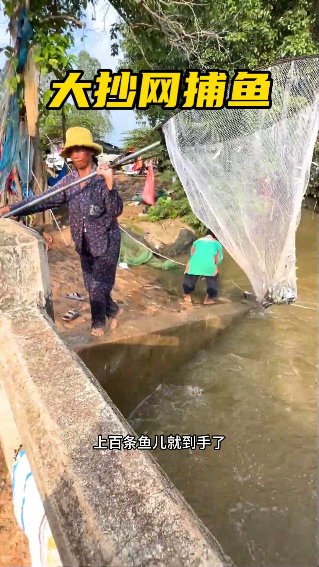 渔民使用大抄网捕鱼