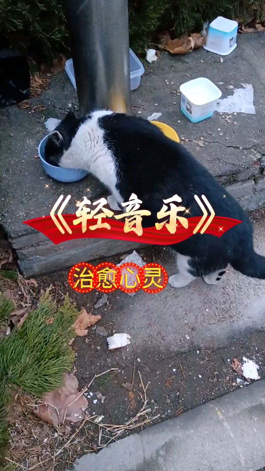 纯音乐《轻音乐》治愈心灵鸡汤