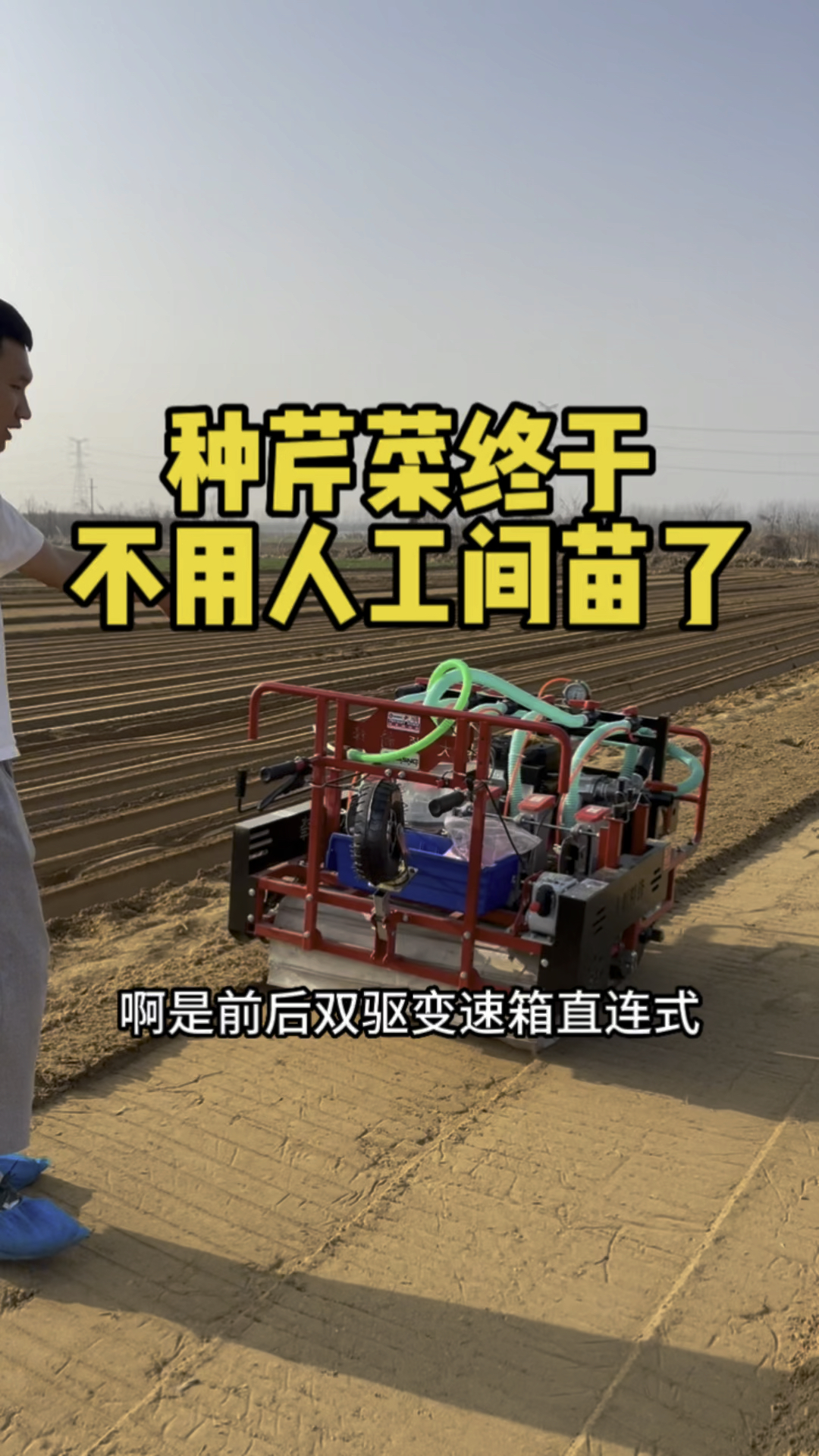 芹菜丸粒化气吸直播